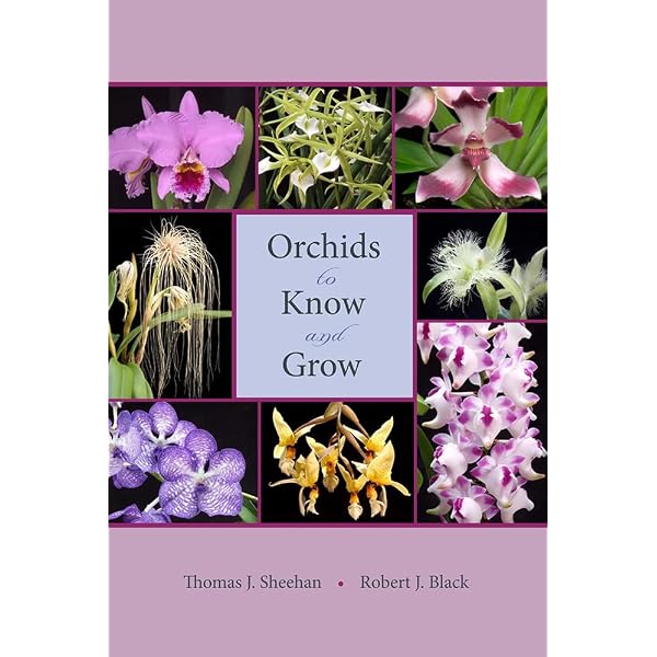 Orchid Species Culture: Dendrobium: Baker, Charles O., Baker